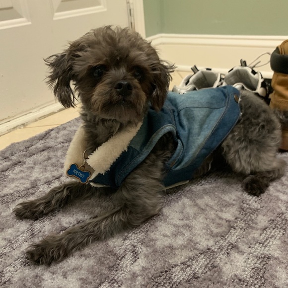 Meet your Posher, Victoria - Picture 1 of 1